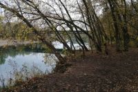 Судмедэксперты устанавливают, был ли пьян водитель съехавшего в Сакмару авто.