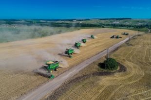 Мираторг ежегодно увеличивает заготовку зерновых культур в Курской области и приступил к созданию собственного селекционного центра в Ворошнево