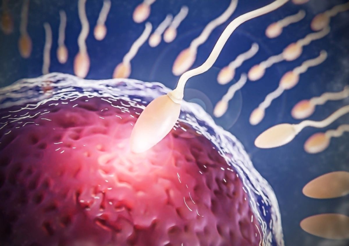 сперма и ее влияние на женски организм фото 44