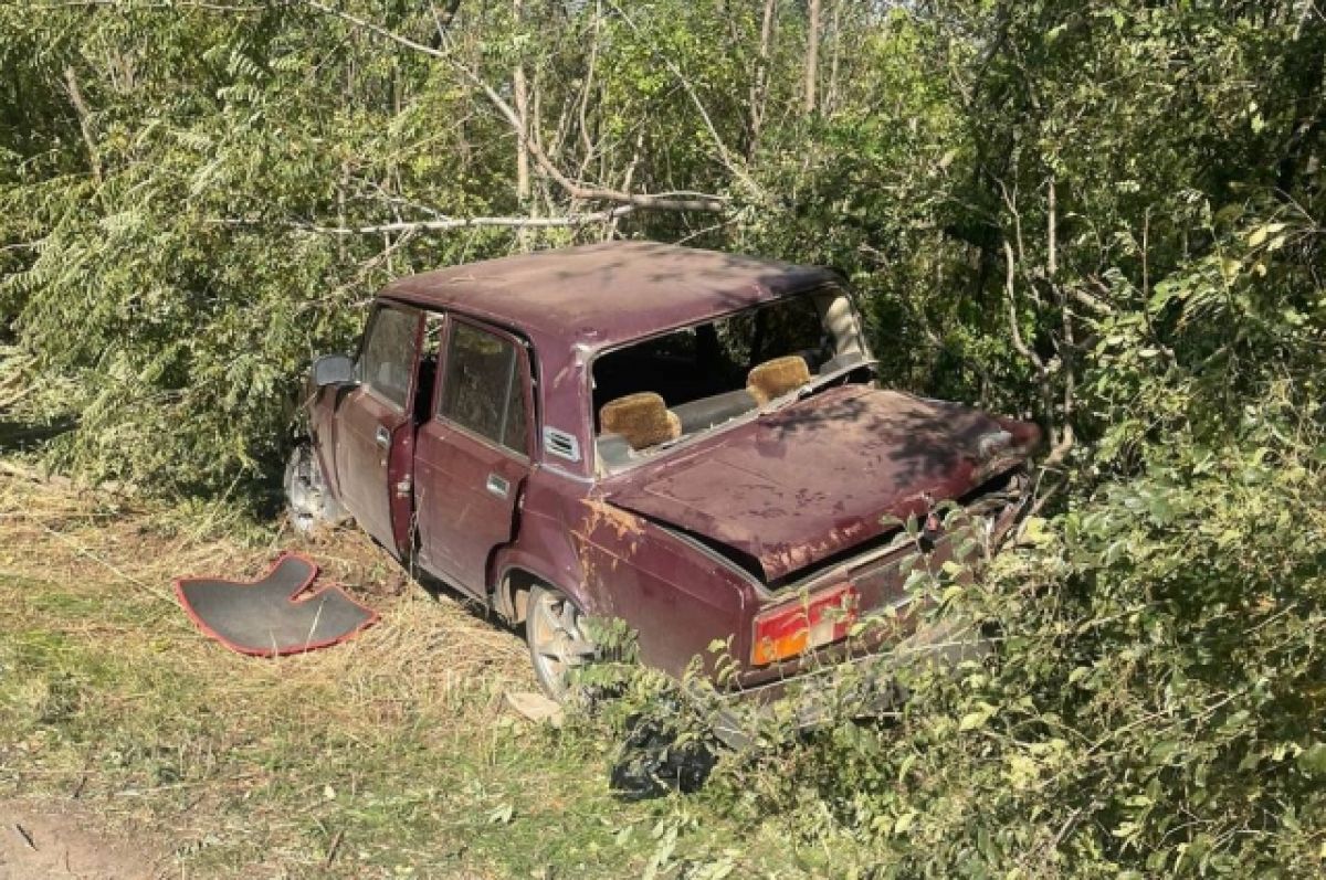 Водитель врезался в дерево и погиб в Ростовской области