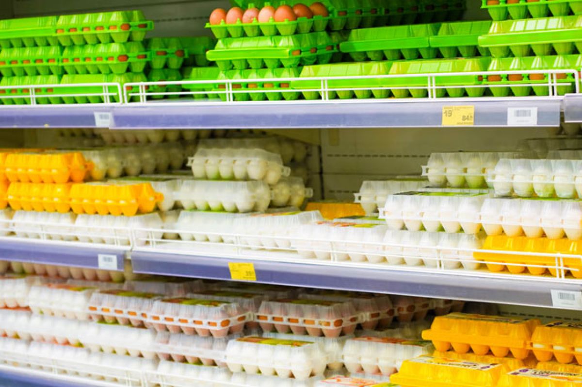 Белорусская птица, яйца и молочка не приедут в Россию. Что будет с ценами?