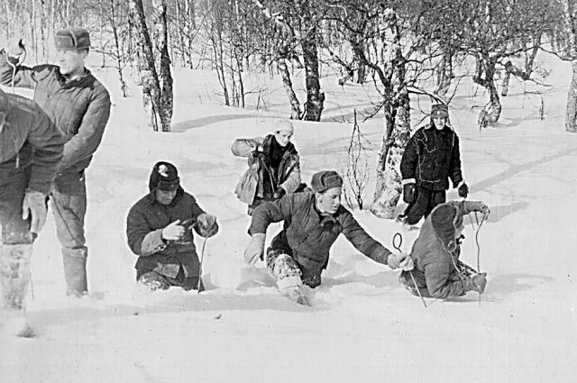 Команда из солдат и студентов-альпинистов прочесывает местность в районе гибели группы Дятлова.