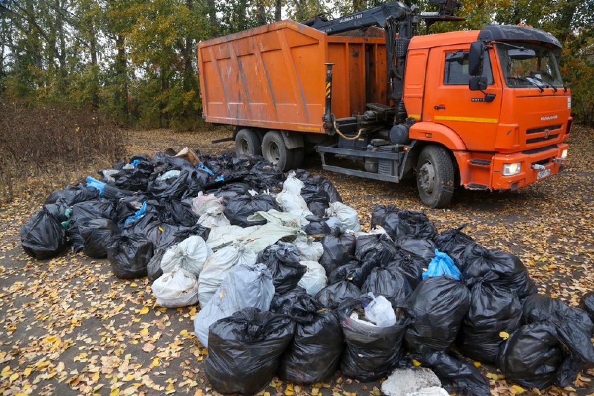 Управляющим регоператора «Экология-Новосибирск» назначена Ирина Курочка |  АиФ Новосибирск