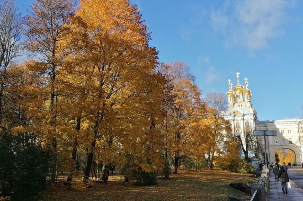 Осень в Царском Селе | идеи для фото осенью | Идеи для фото, Парк, Природа