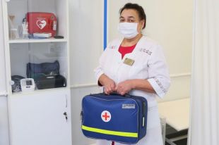 ФАП в Полуяновском сельском поселении.