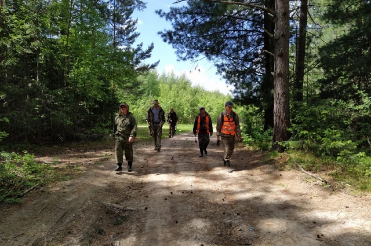 В Ростовской области за месяц волонтёры нашли погибшими трёх человек