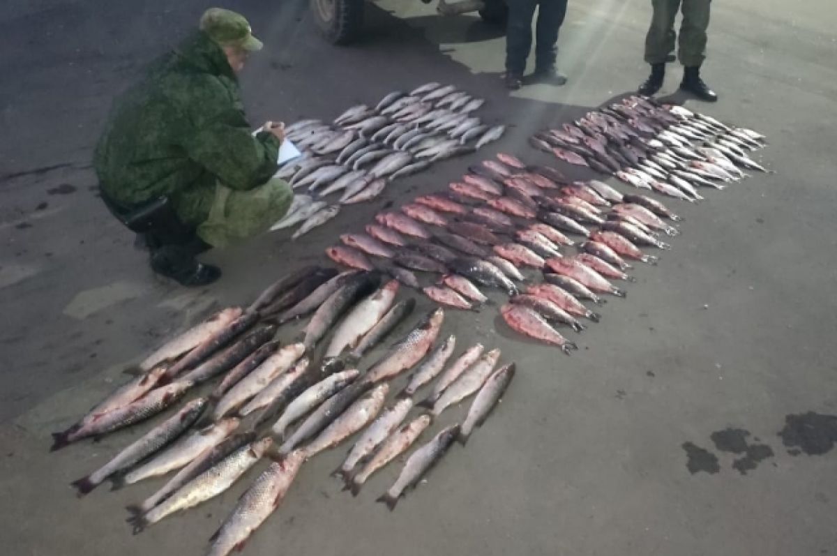 В Ростовской области задержали браконьера с уловом на два миллиона рублей