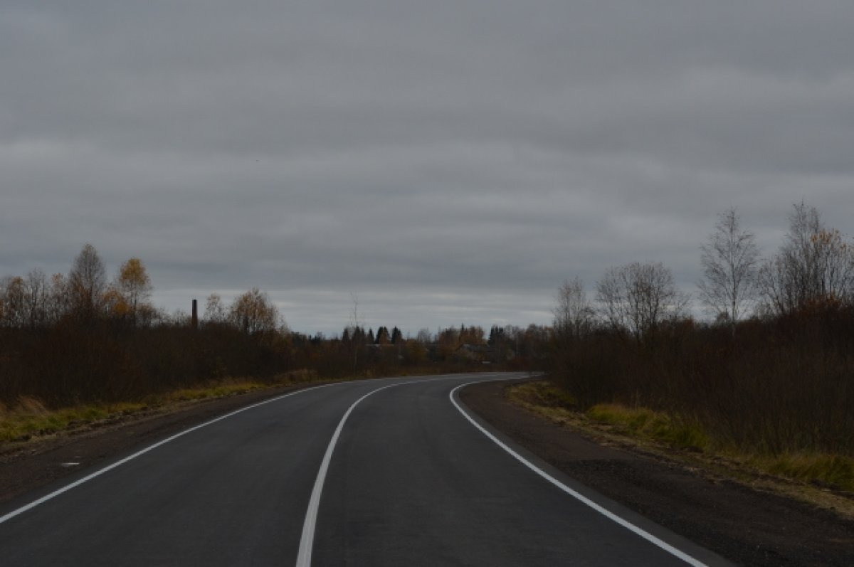 Ограничения осенью. Смоленская область. Смоленск внутри города ночь дорога. Один на дороге. Фото осенние дороги Смоленск с машины.