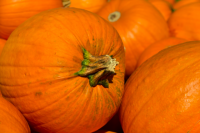 Большой выбор популярных в конце октября овощей - на Avito. 