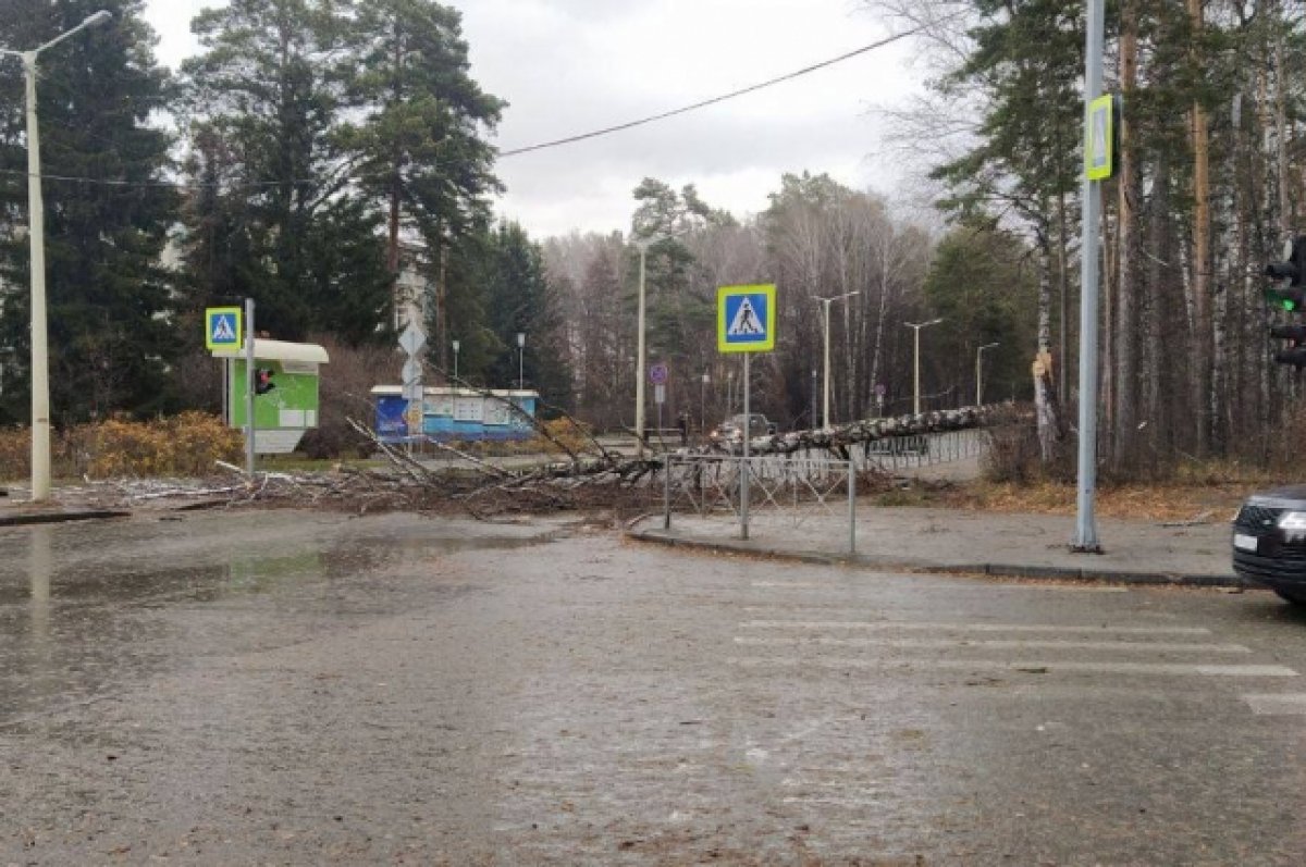 Ветер упали. Дороги Новосибирска. Дорога перекрыта. Академгородок Новосибирск 90. Дороги Новосибирска фото.