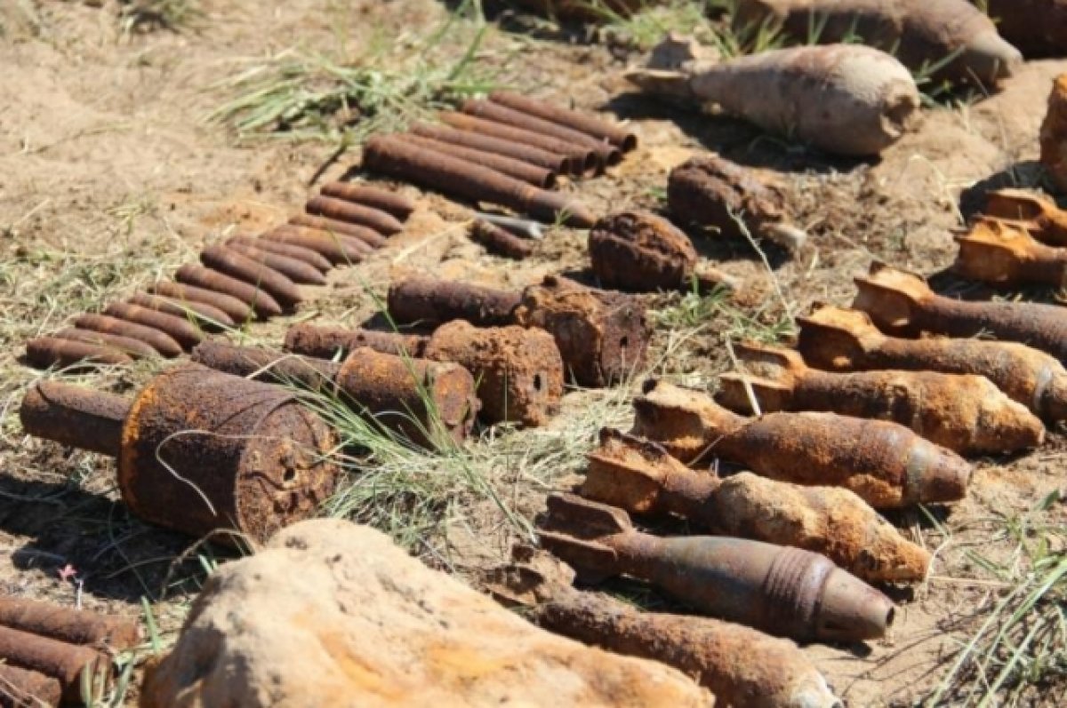 На Дону с начала года нашли 294 боеприпаса времен ВОВ