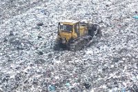 В Красноярске рядом с микрорайоном «Солнечный» скопилась огромная мусорная свалка, которая грозит перерасти в экологическую катастрофу.