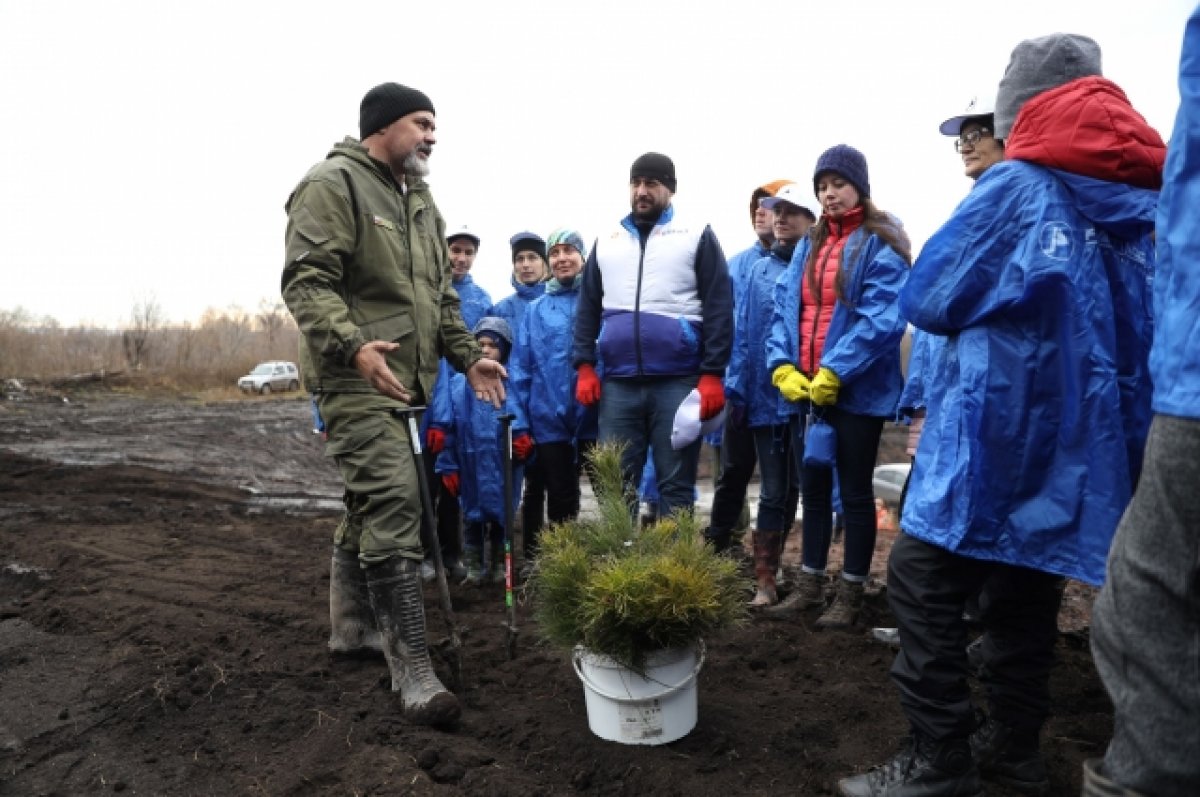 Распадская угольная компания провела экологическую акцию, посадив деревья |  АиФ Кузбасс