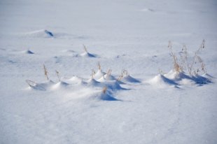 Ноябрьские спасатели пришли на помощь замерзающим рыбакам.