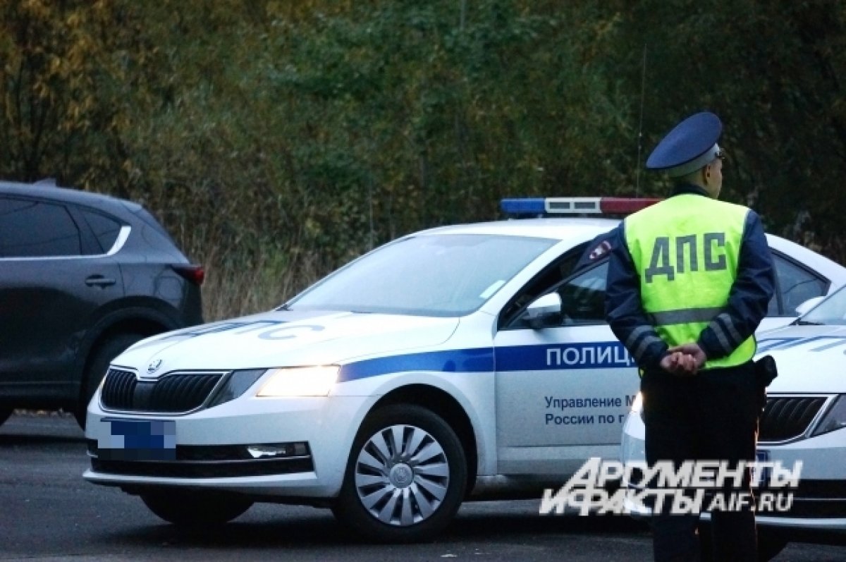 Ночью в Омской области пьяного лихача ловили с погоней и стрельбой | АиФ  Омск