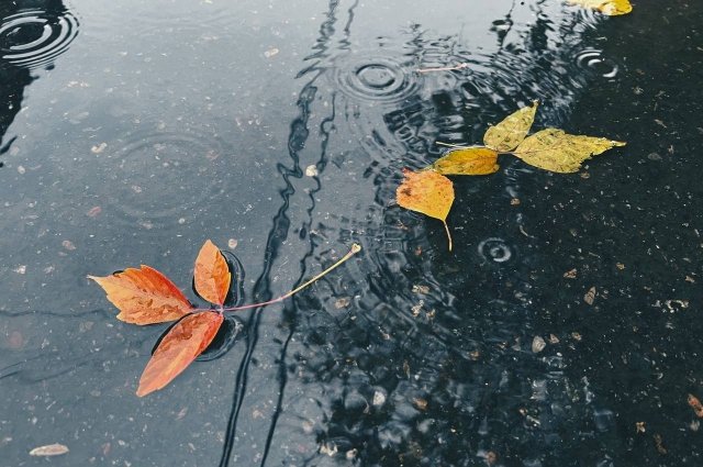 Октябрь простится с Оренбуржьем дождями и порывистым ветром.