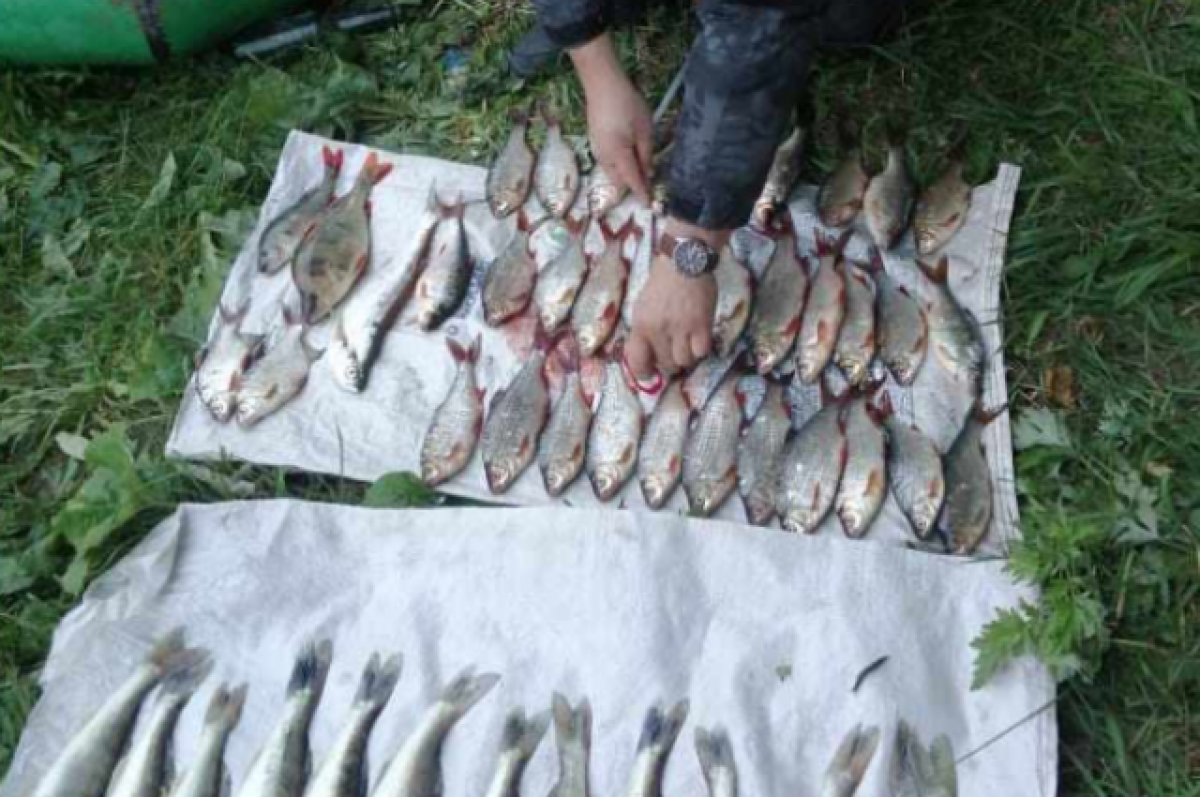В Волгодонске поймали браконьера, выловившего 11 килограммов рыбы