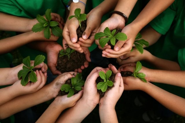 Одной из основ построения во всем мире «зелёной» экономики является планомерное устранение связи между экономическим ростом и воздействием на окружающую среду.