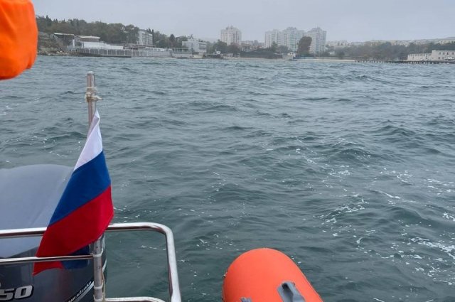 В Севастополе проходит операция по спасению 4-х афалин, брошенных в море.