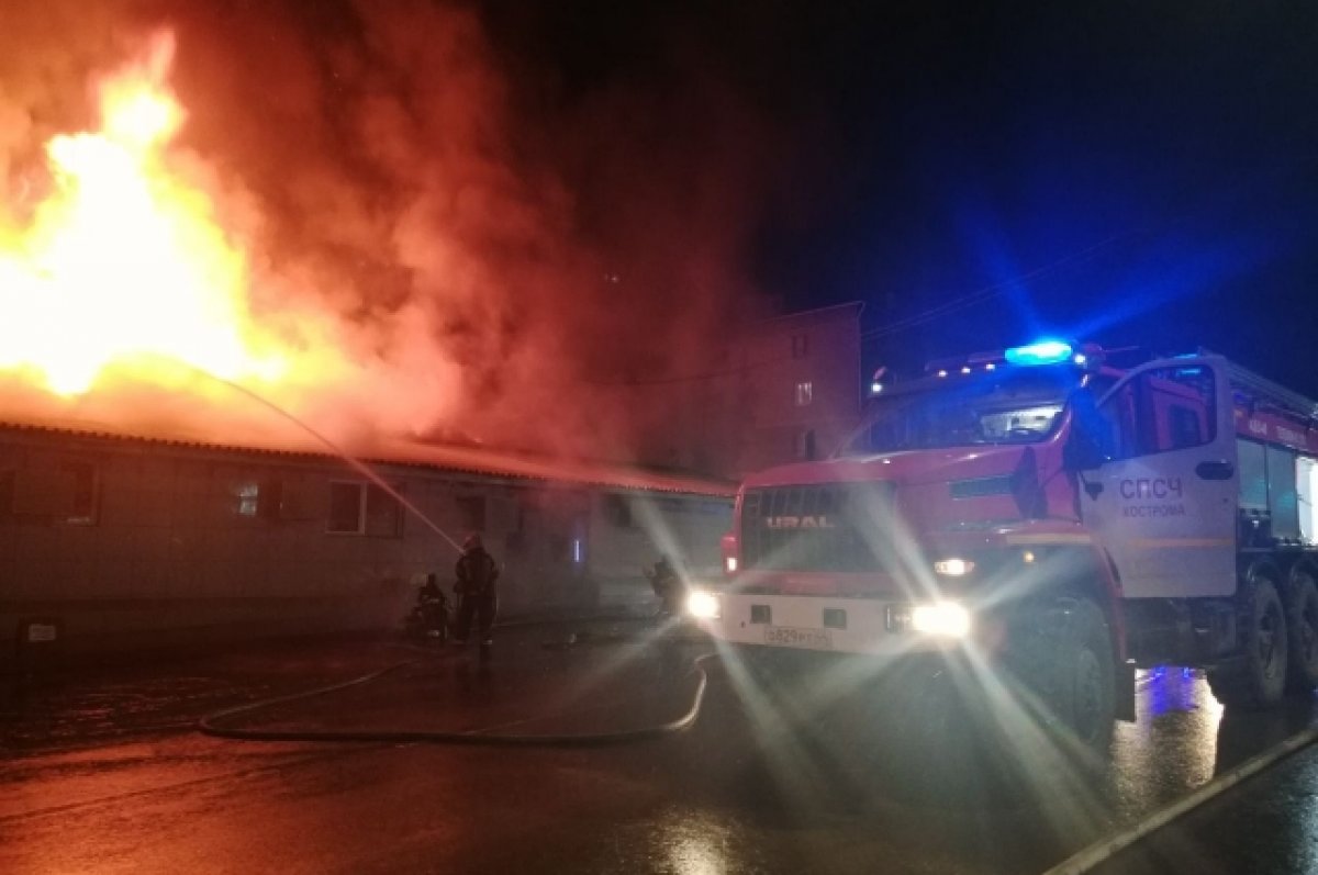 СМИ: число погибших при пожаре в костромском кафе достигло восьми человек