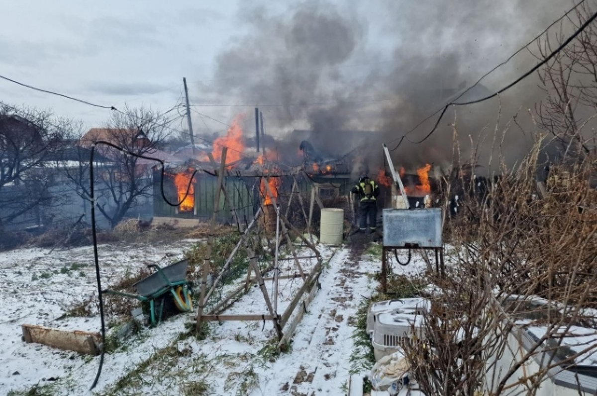 В Хабаровске горел приют для животных | АиФ Хабаровск