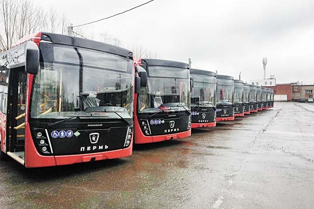Новые автобусы выйдут на линию в декабре.