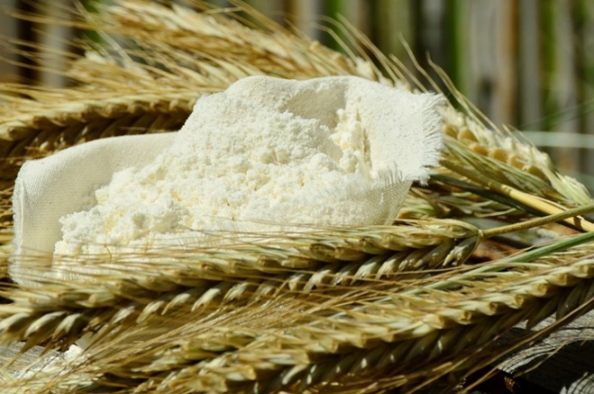 Эксперт сравнил экспорт муки и зерна из России