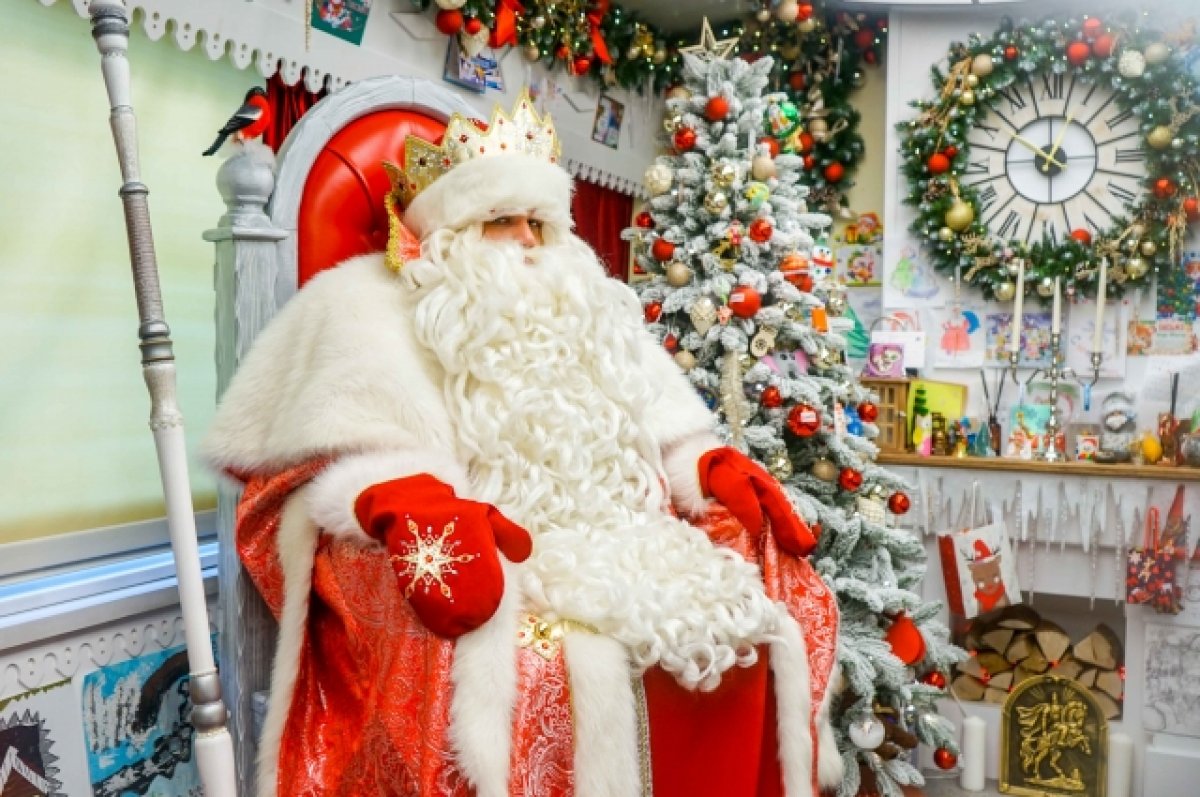 В Новосибирске предлагают вызвать Деда Мороза за 3000 рублей | Новый год |  АиФ Новосибирск