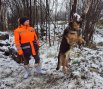 Увидели собак-спасателей поисково-спасательного отряда «СеверСпас»