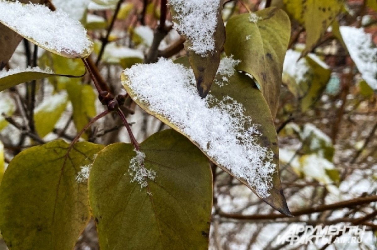 В Ростове-на-Дону к концу следующей недели может пойти первый снег