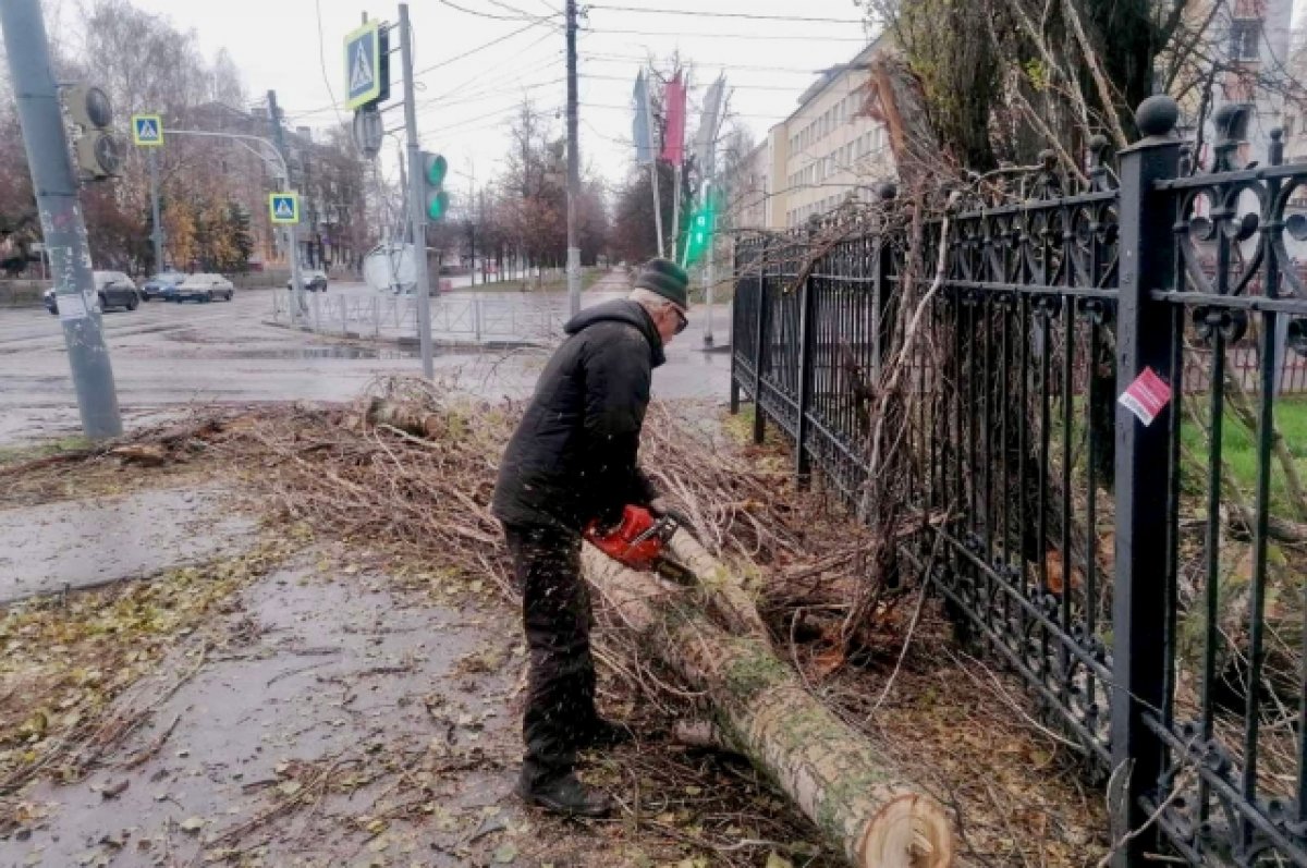 Нижний Новгород борется с последствиями шквалистого ветра | АиФ Нижний  Новгород