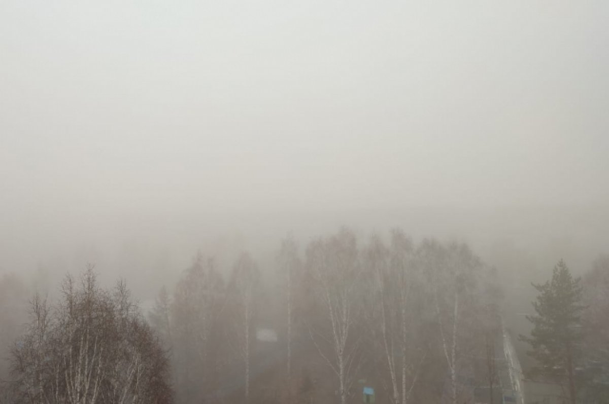 Жителей Бийска беспокоит странный густой туман над городом