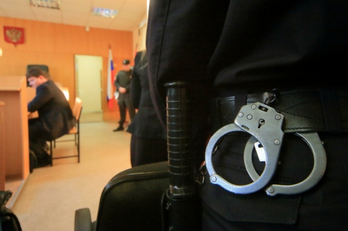 Виновник гибели 43-летней женщины в Брянске получил 11 лет строгого режима