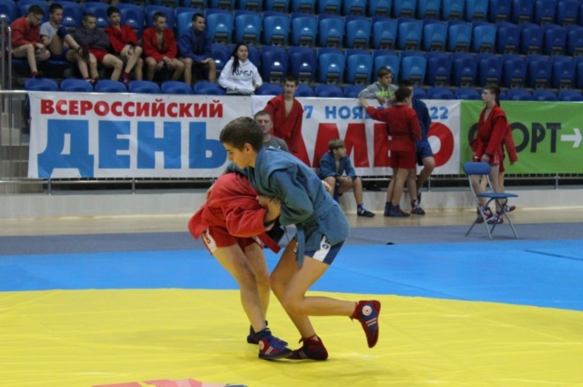 Всероссийский день самбо на Брянщине отметили большим турниром