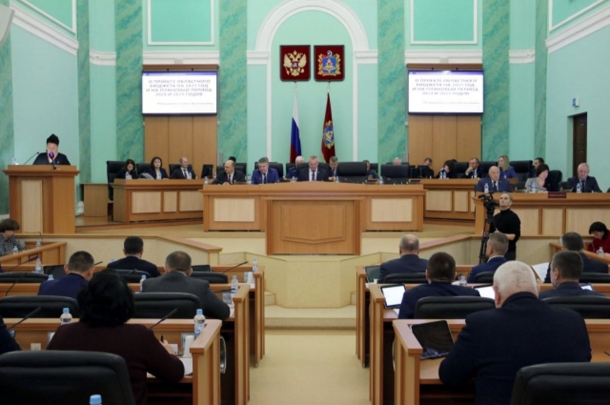 Брянские депутаты в первом чтении приняли проект областного бюджета