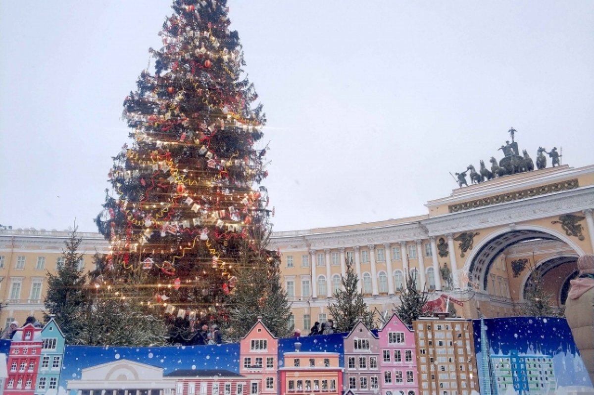 Елку на Дворцовой площади планируют установить к 19 декабря | ДОСУГ | АиФ  Санкт-Петербург