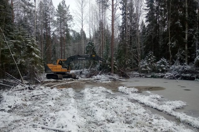 Куни Петрозаводск В Контакте