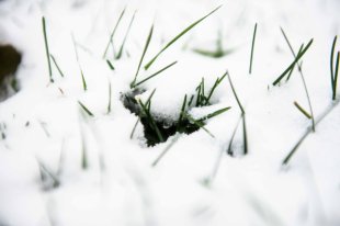 В Оренбурге всю ночь убирали снег