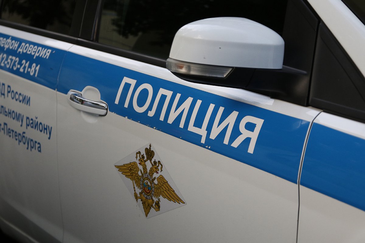МВД показало кадры задержания подозреваемого в убийстве девушки в Москве