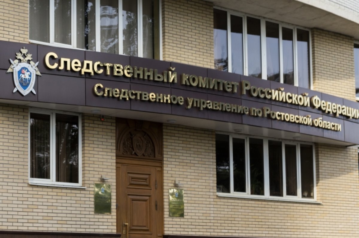 В Ростове завели уголовное дело из-за гибели людей после падения крана