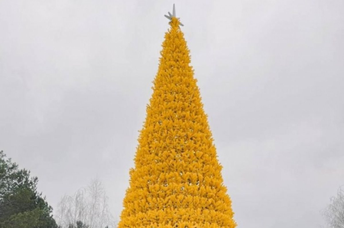 Желтые елочки. Елка в Казани 2023. Желтая ель. Новогодняя елка. Желтая елка.