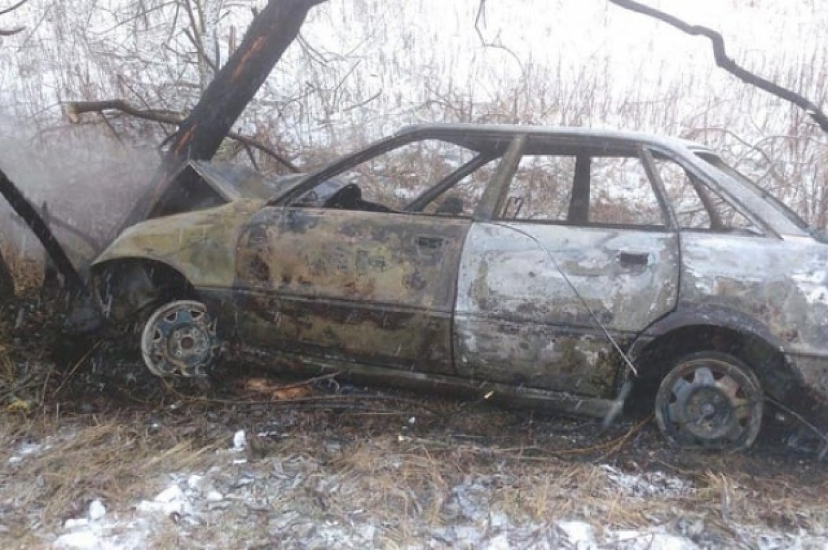 В Красногорском районе 50-летняя автомобилистка врезалась в дерево