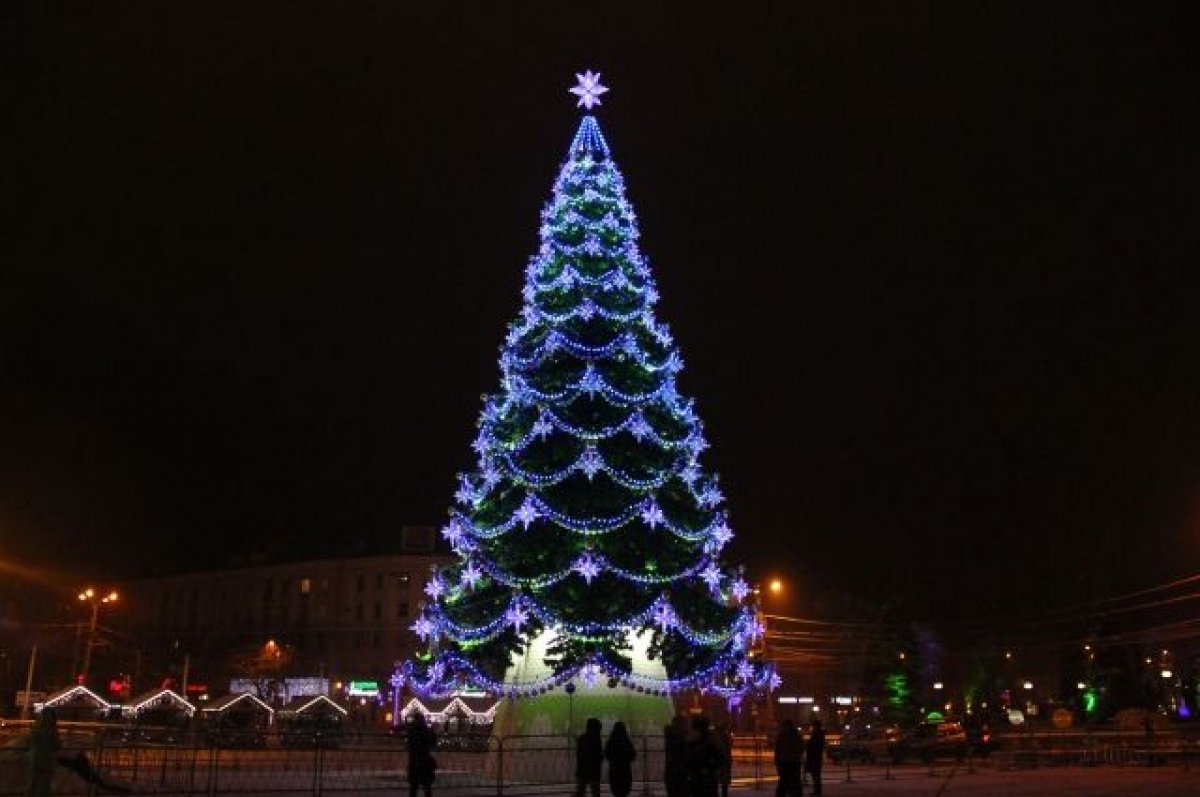 Воронежцы возмущены покупкой властями новогодней елки за 7 млн рублей
