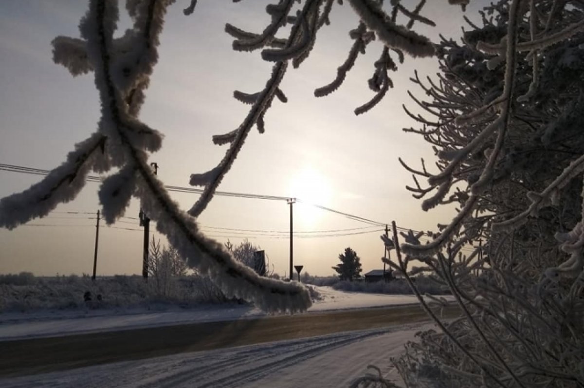 Морозы под 40 градусов принесет в Алтайский край мощный антициклон