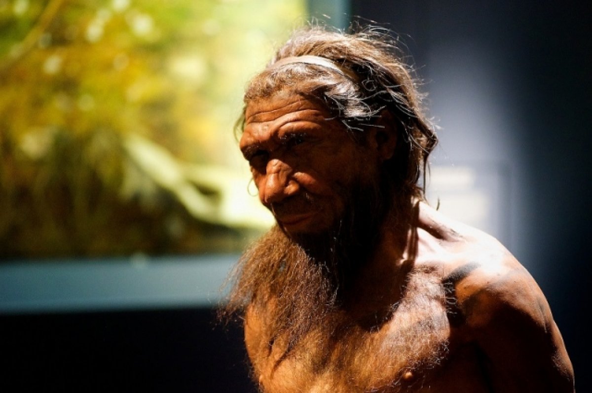 Британские ученые выяснили, что неандертальцы умели печь лепешки