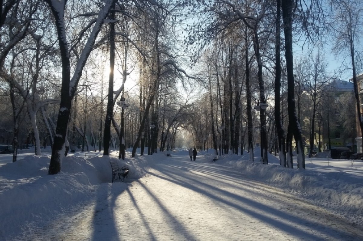 До -40 градусов похолодает на выходных в Алтайском крае
