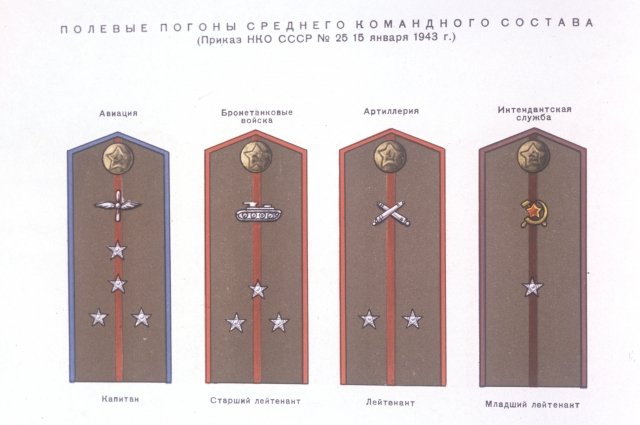 Погоны офицерского состава родов войск (1943 год). Репродукция рисунка.