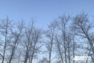 В Оренбуржье температура понизится до -16