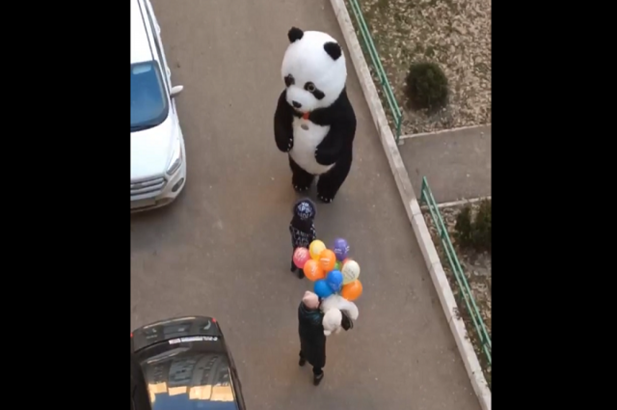 Танцующая панда видео. Панда во дворе. Панда поздравляет с днем рождения. Танцующая Панда фото. Панда Инстаграм.