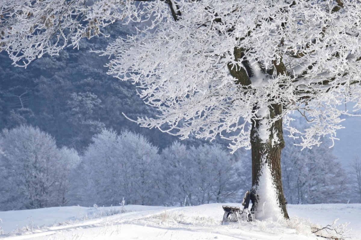 Трескучие морозы до -33 градусов продолжатся на Алтае в начале декабря